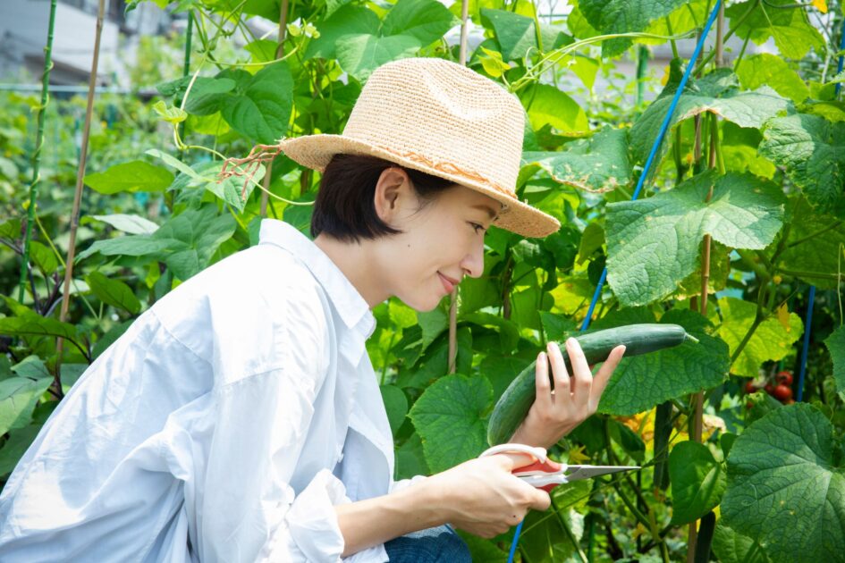 家庭菜園用の土地を購入するには？チェックポイントや注意点などを解説 | 一誠商事株式会社